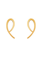 Яркие пусеты-дуги