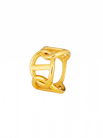 Актуальное кольцо из звеньев